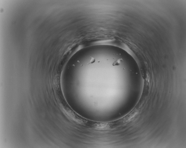 X0000067520088200604101337