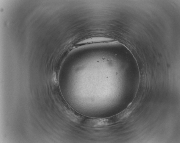 X0000067520089200604101337