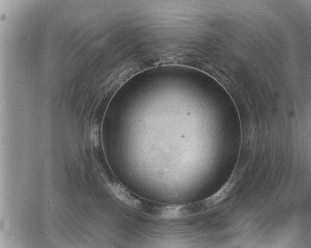 X0000067520090200604101337