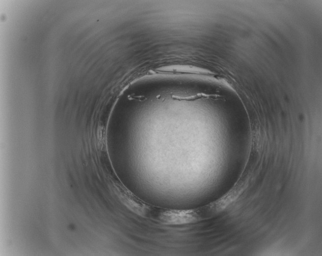 X0000067520093200604101337