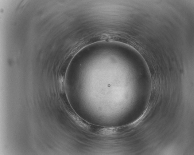 X0000067520094200604101337