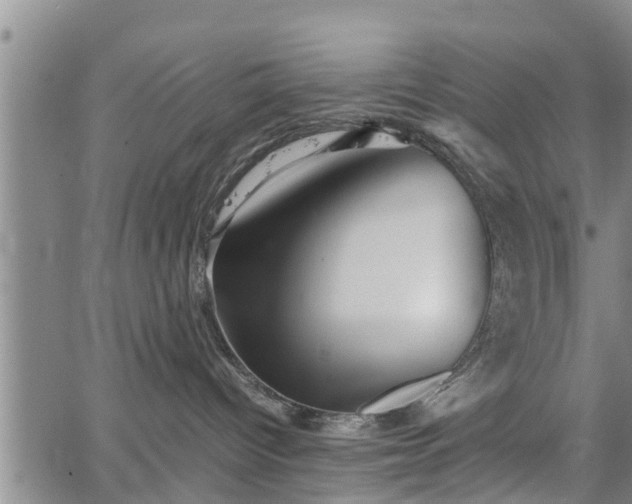 X0000067520096200604101337