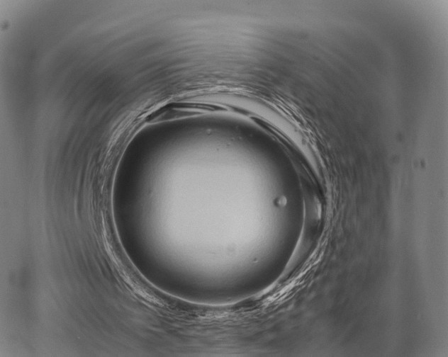 X0000067520097200604101336