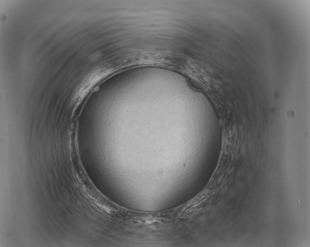 X0000067520098200604101336