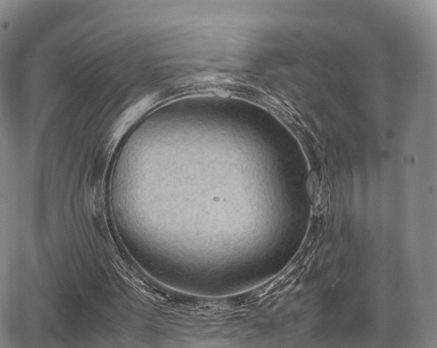 X0000067520099200604101336