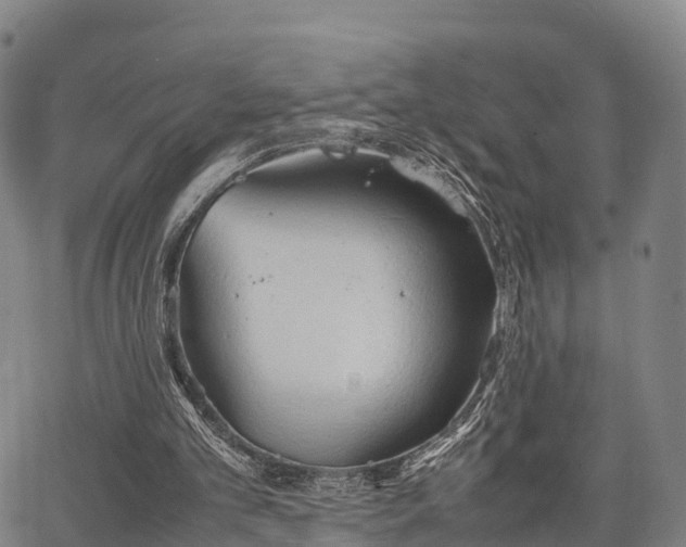 X0000067520101200604101336