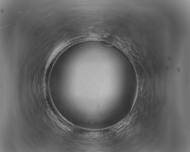 X0000067520102200604101336