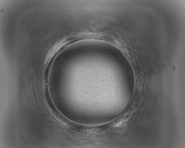 X0000067520103200604101336