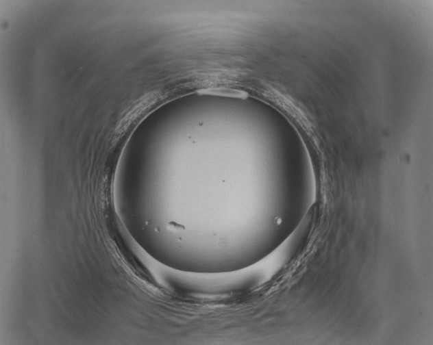 X0000067520105200604101336