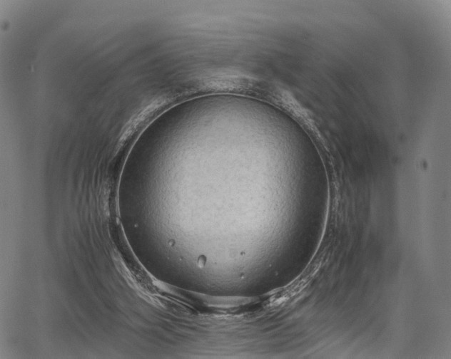 X0000067520106200604101336