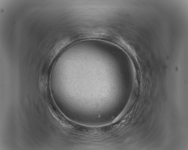 X0000067520107200604101336