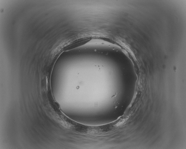 X0000067520109200604101336