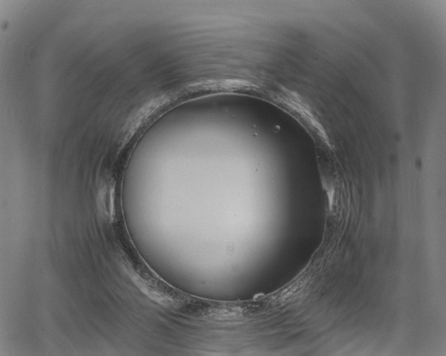 X0000067520110200604101336