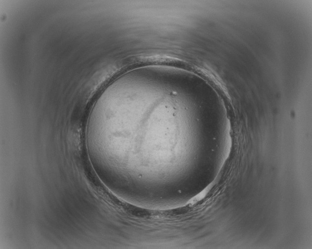 X0000067520111200604101336