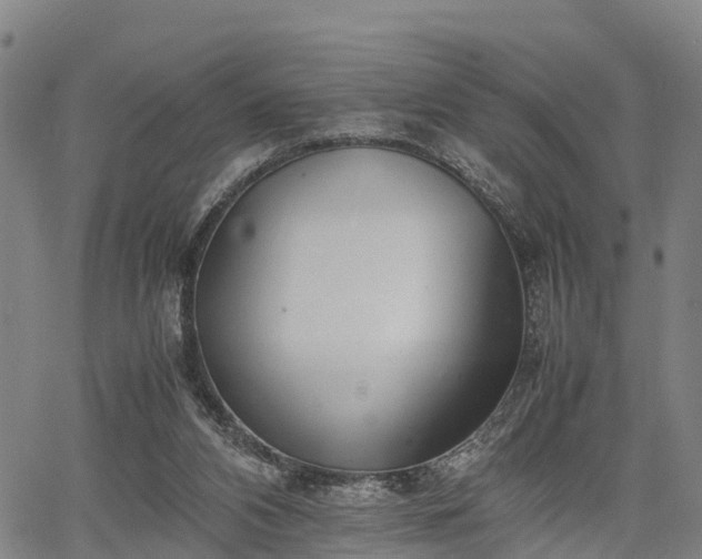 X0000067520112200604101336