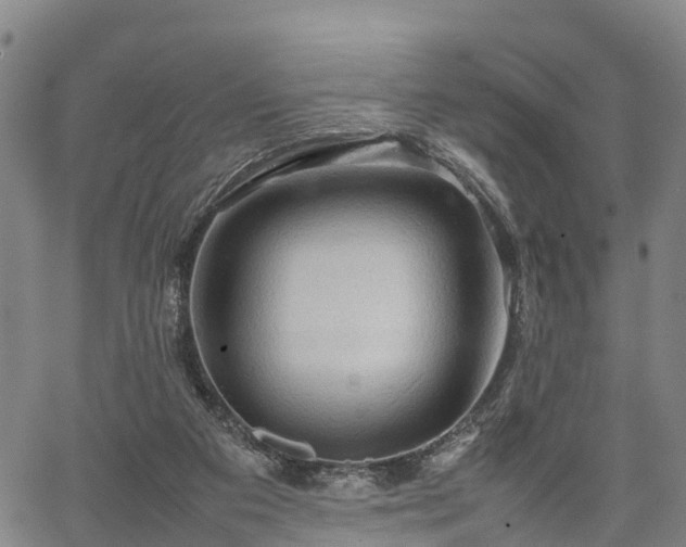 X0000067520113200604101336