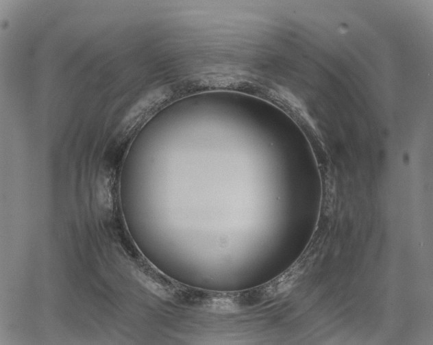 X0000067520114200604101336