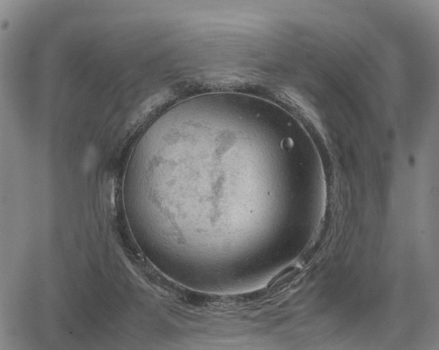 X0000067520115200604101336