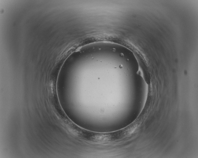 X0000067520117200604101336