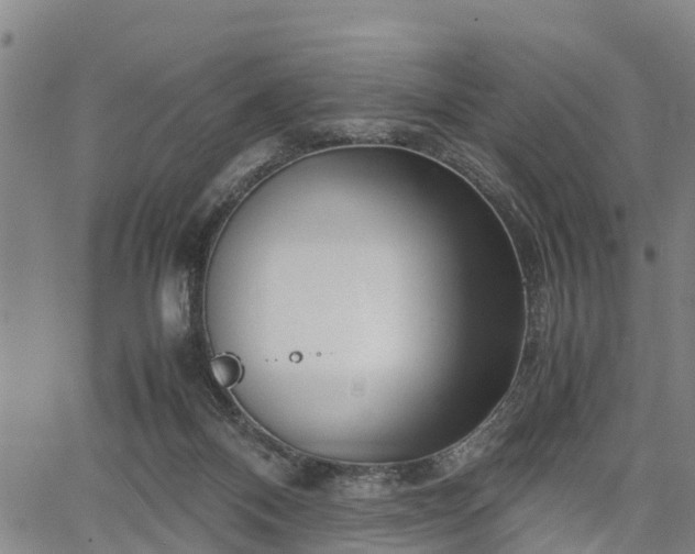 X0000067520120200604101336