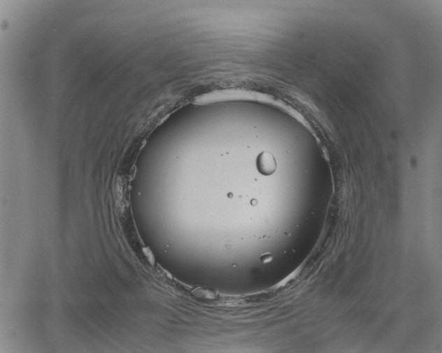 X0000067520121200604101336