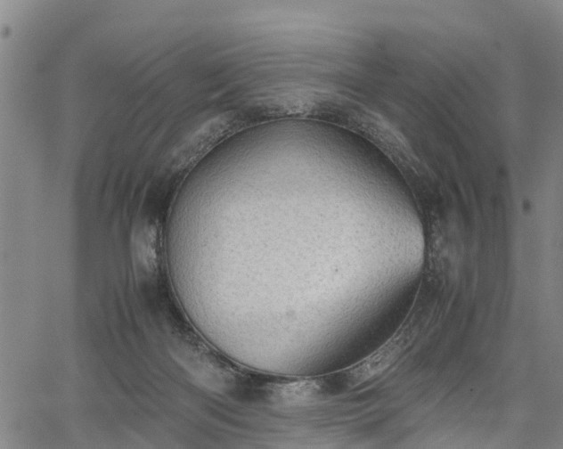 X0000067520122200604101336