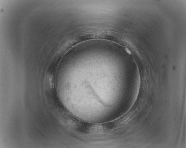 X0000067520123200604101336