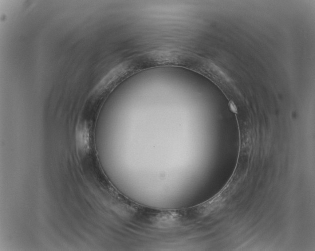 X0000067520124200604101336