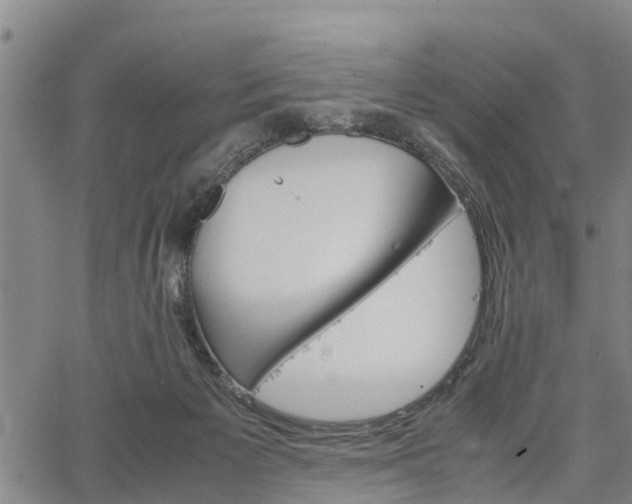 X0000067520125200604101336