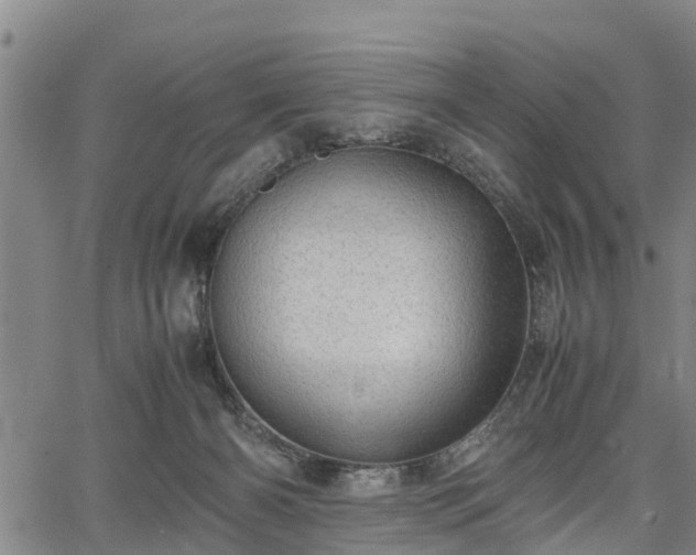 X0000067520126200604101336