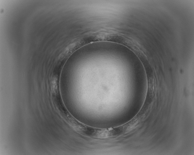 X0000067520127200604101336