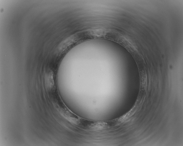 X0000067520128200604101336