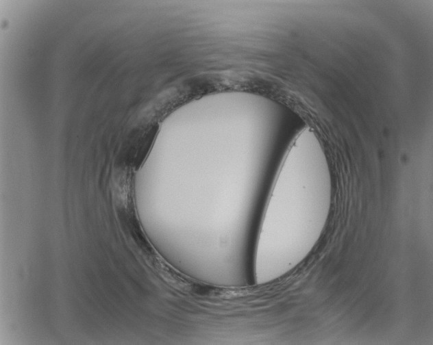 X0000067520129200604101336