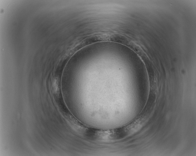 X0000067520131200604101336