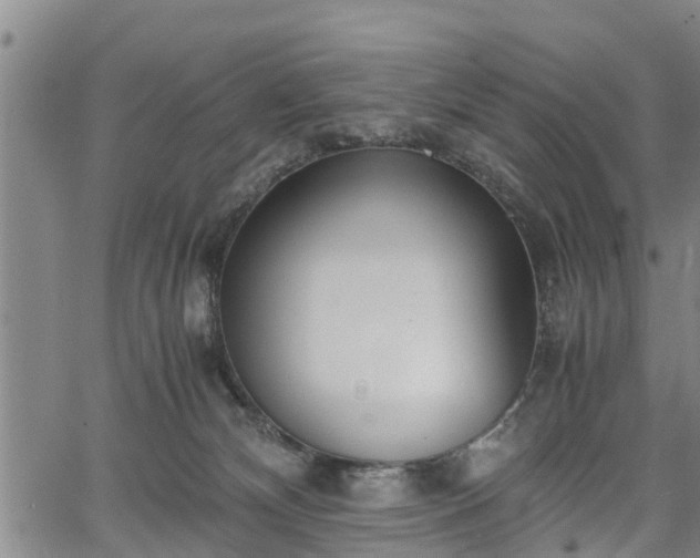 X0000067520132200604101336