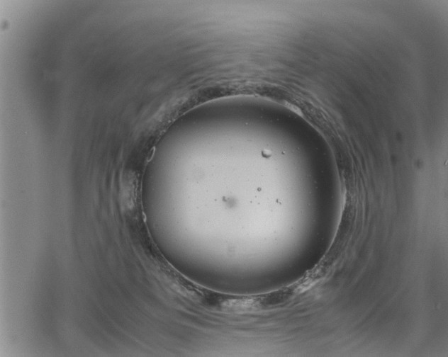 X0000067520133200604101336