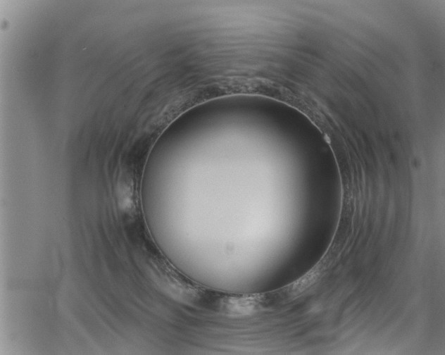 X0000067520134200604101336