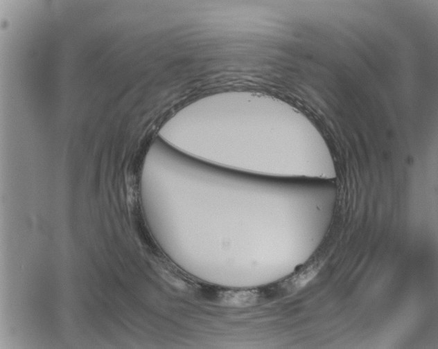 X0000067520135200604101336