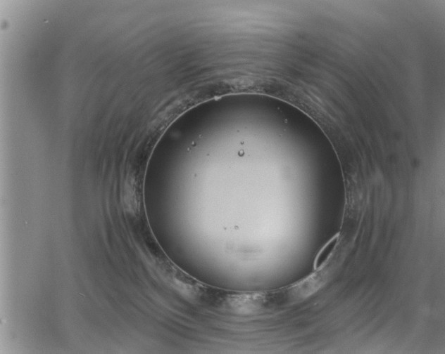 X0000067520136200604101336