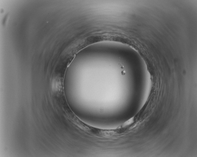 X0000067520137200604101336