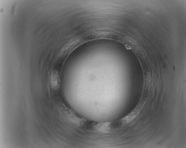 X0000067520138200604101336