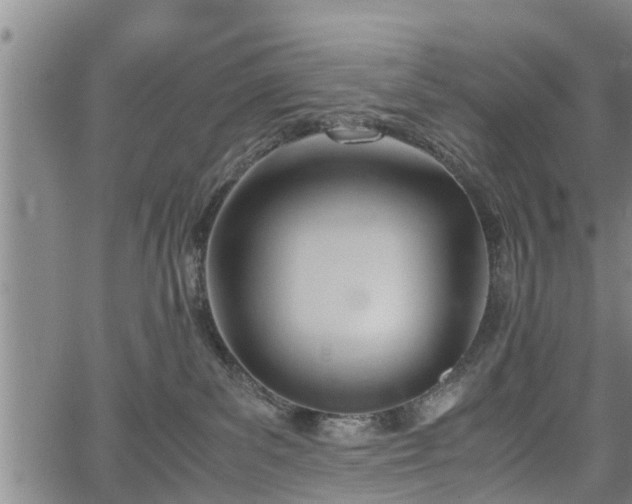 X0000067520139200604101336