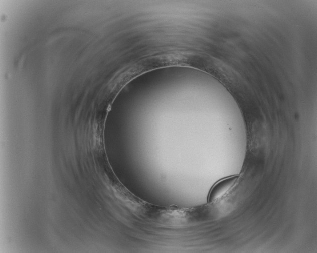 X0000067520140200604101336