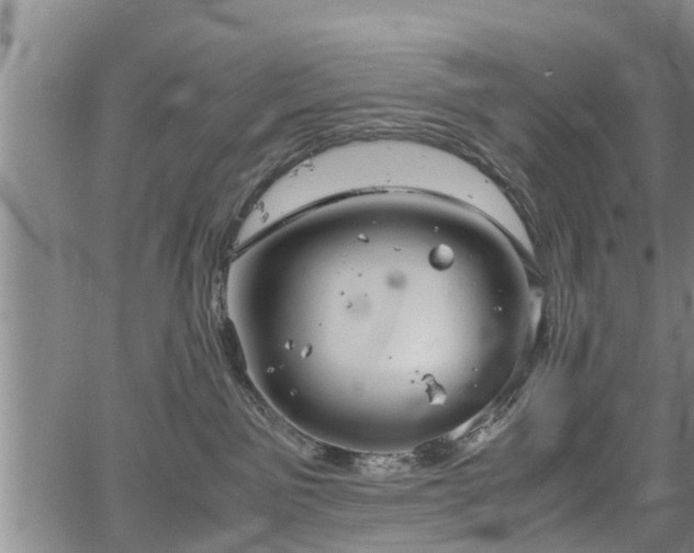 X0000067520141200604101336