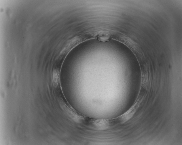 X0000067520142200604101336