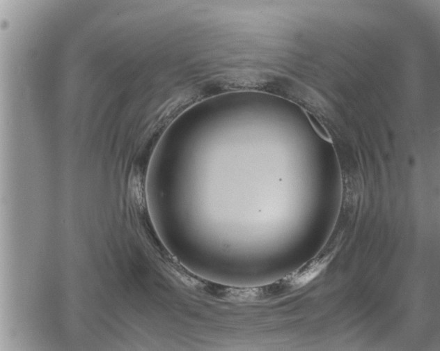 X0000067520143200604101336