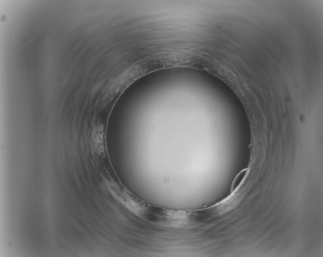 X0000067520144200604101336