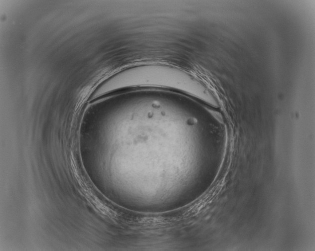 X0000067520145200604101335