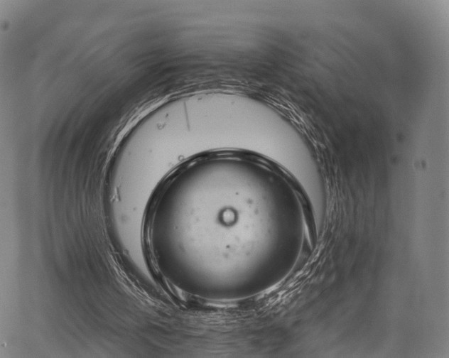 X0000067520146200604101335