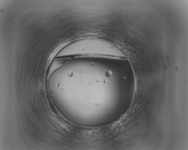 X0000067520147200604101335